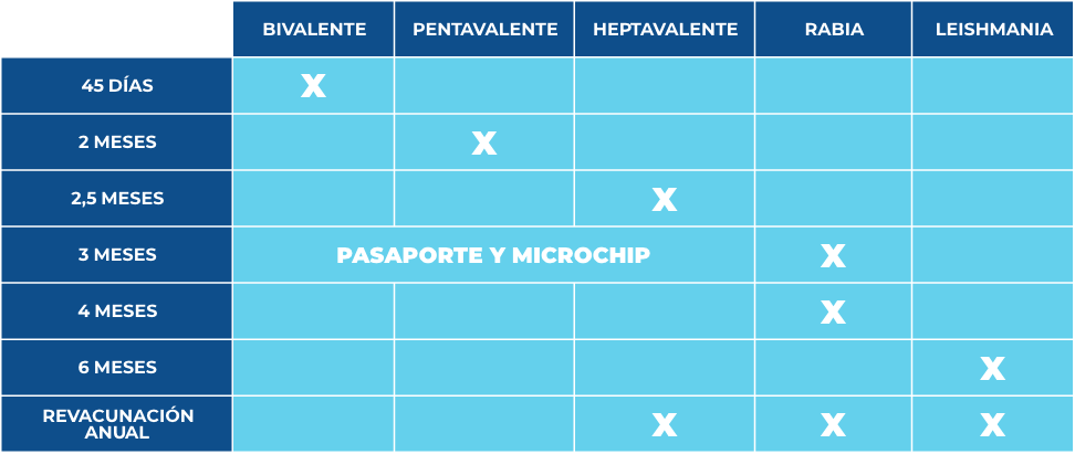 calendario vacunacion perros