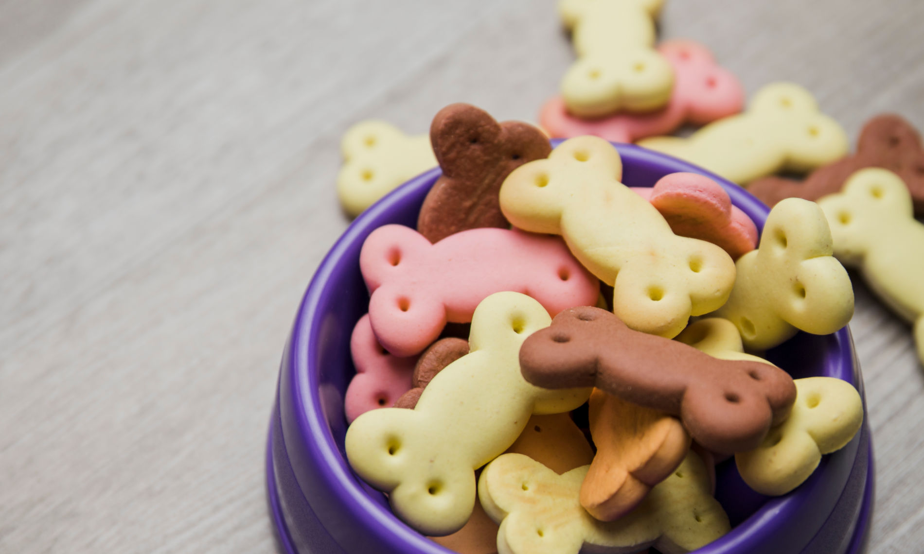 cookies y aviso legal