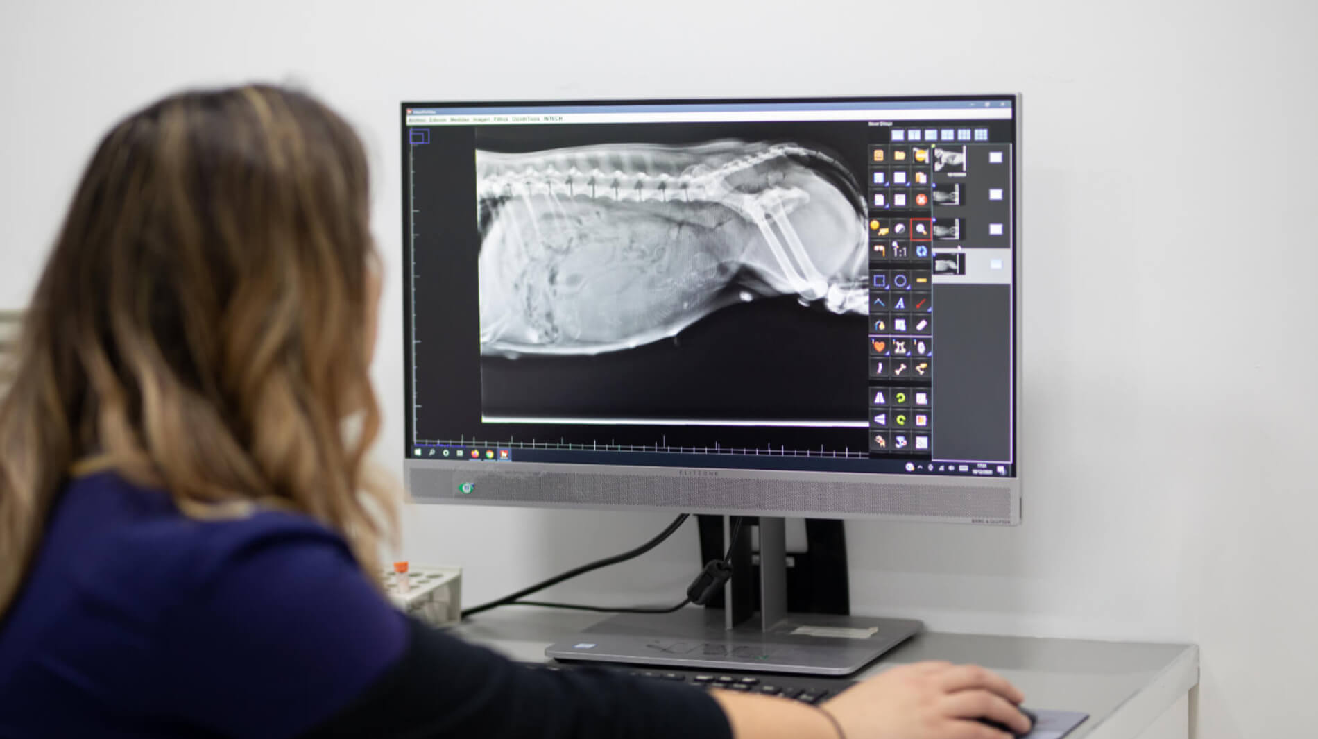 radiografia veterinaria cordoba
