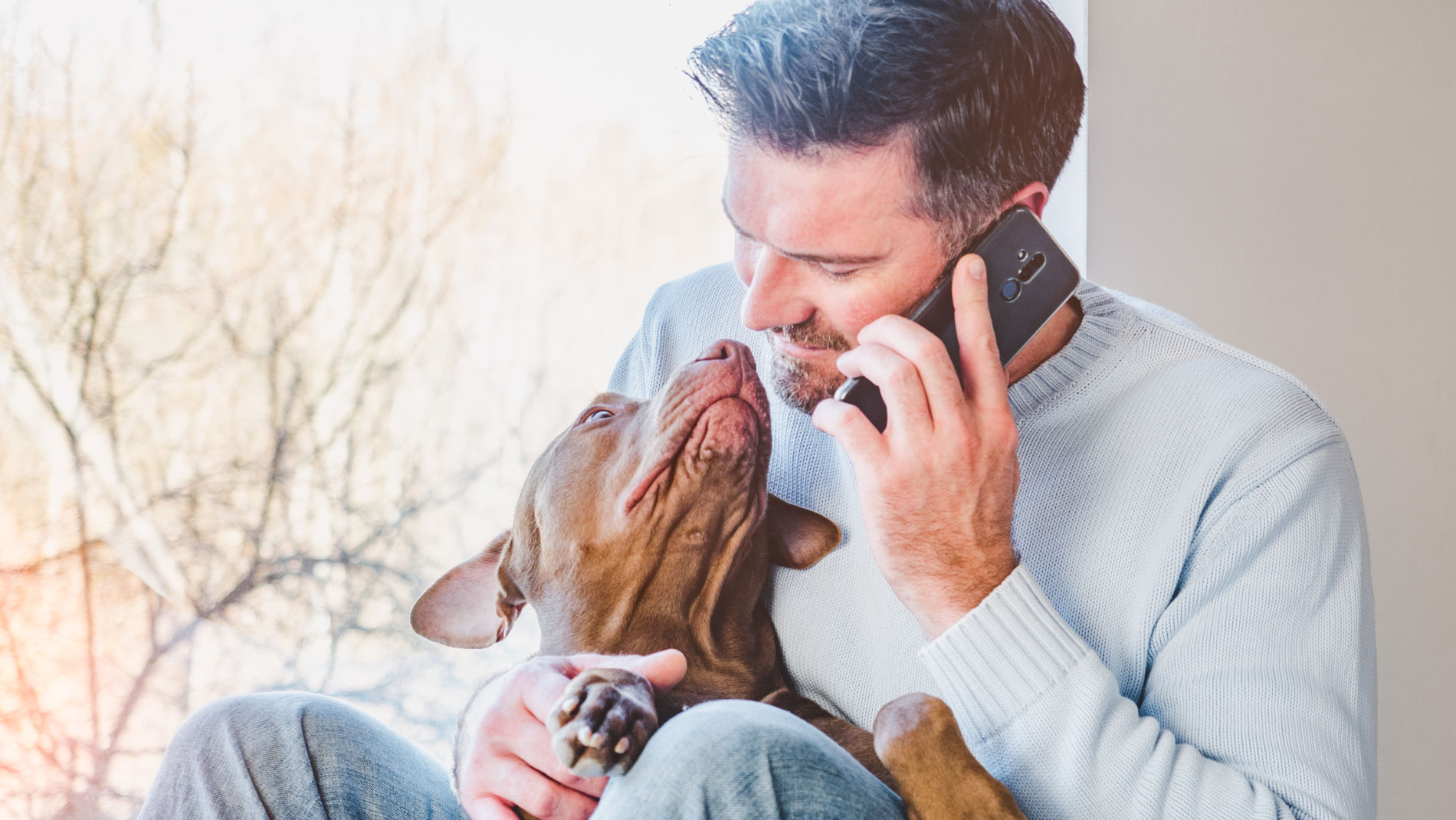 urgencias veterinarias 24 horas
