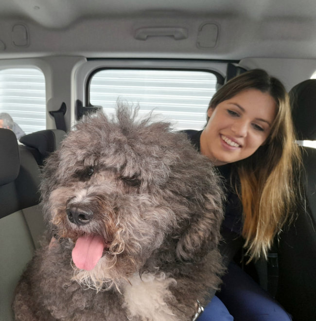 veterinaria a domicilio en cordoba traslado