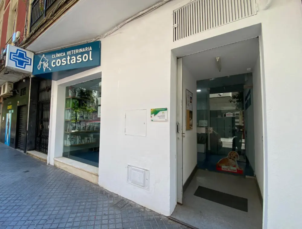 costasol clinica veterinaria