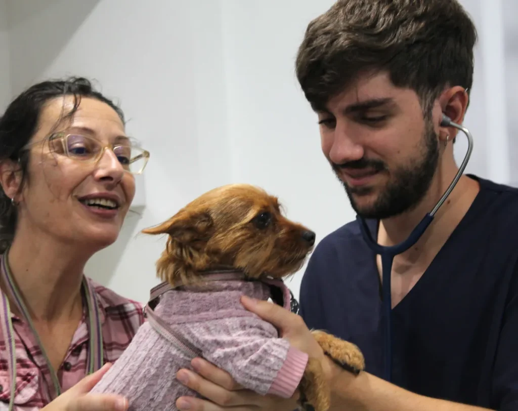medicina interna veterinaria cordoba