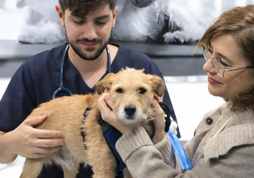 Plan-de-salud-perros-y-gatos